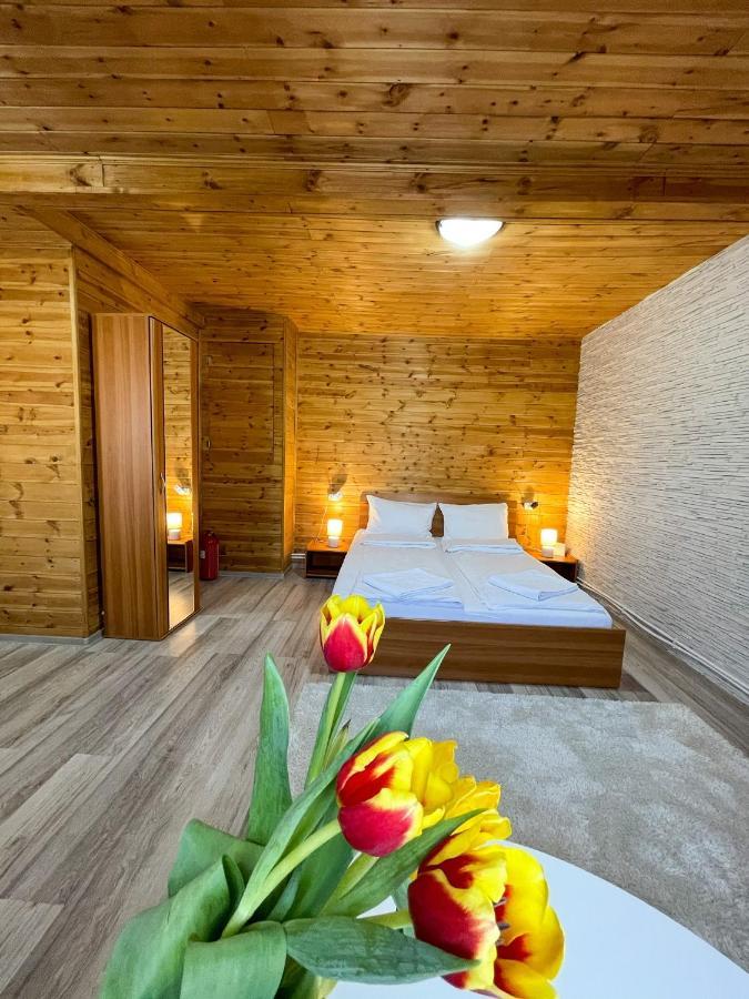 Bed and Breakfast Somogyi Vendeghaz Bancu Zewnętrze zdjęcie