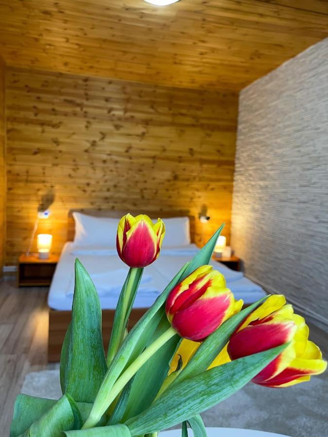 Bed and Breakfast Somogyi Vendeghaz Bancu Zewnętrze zdjęcie